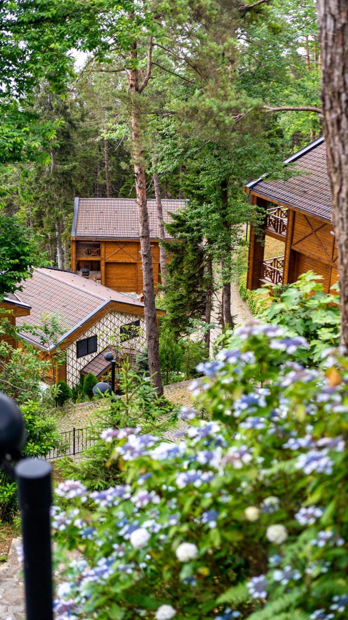 Hancioglu Orman Evleri & Hotel Trabzon Exterior photo
