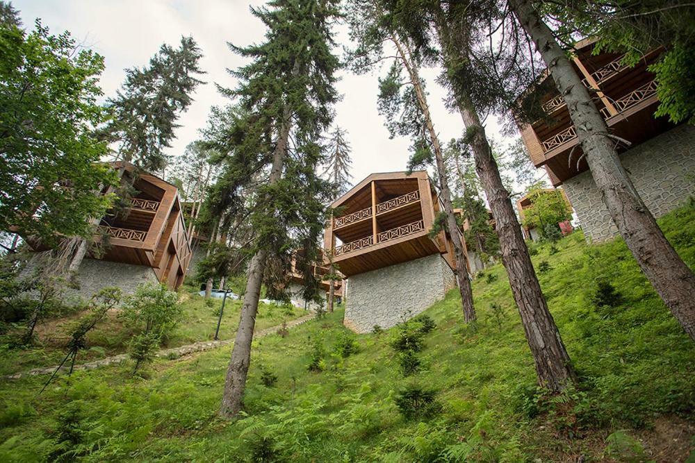 Hancioglu Orman Evleri & Hotel Trabzon Exterior photo